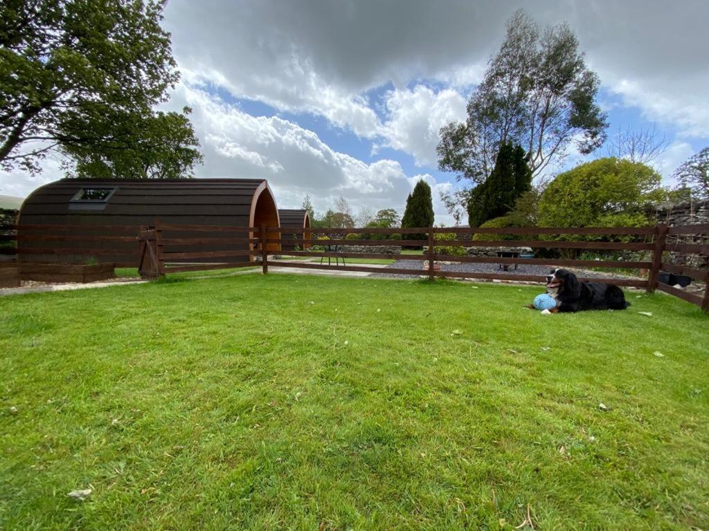 Broad Croft House Acomodação com café da manhã Horton in Ribblesdale Exterior foto